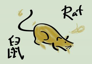 Високосный год Крысы: 3 испытания, которые предстоит пережить человечеству