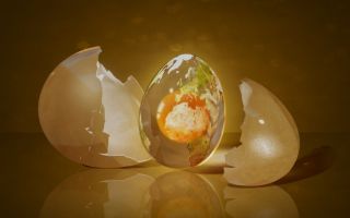 Упражнение «Яйцо травмы»: Узнайте как воспоминания влияют на нашу жизнь сегодня