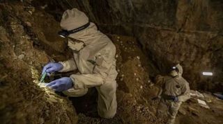 Учёным из Австрии удалось из почвы восстановить геном древнего человека жившего в грузинской пещере