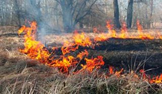 Сильный лесной пожар в Самарской области
