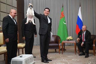 Чем же так схож Путин с президентом Туркмении Гурбангулы?