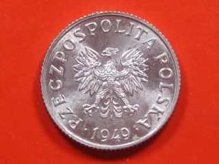 Монета - Польша 1 грош 1949 года ( 1gr ).