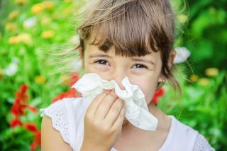 Что заставляет ребенка стать пищевым аллергиком?