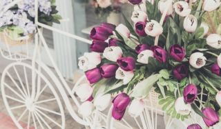 Продается интернет-магазин цветов в Губкине