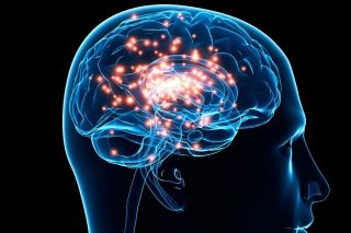 Как восстановить мозг больного шизофренией с помощью нейробиомодуляции?