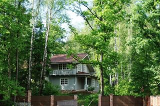В Подмосковье сократили сроки принятия решений по аренде лесных участков