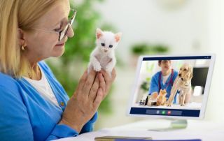 Консультация ветеринарного специалиста онлайн