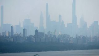 New York Post: жители Нью-Йорка сравнили скопление тли в городе с библейской чумой