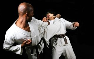 Что такое каратэ: история создания, основа мастерства, традиционное и спортивное направление