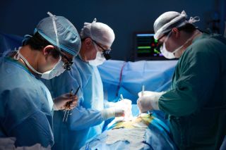 Почему хирург важная профессия?