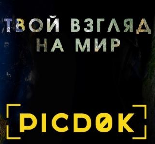 PicDok