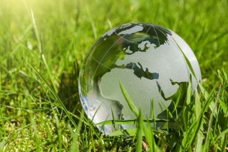 Что такое экологическое право?