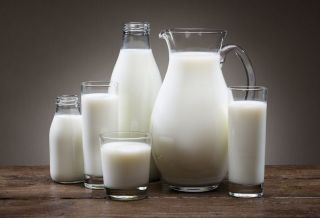 Эксперты провели анализ сухого молока привезенного в Антарктиду в начале 20-го века