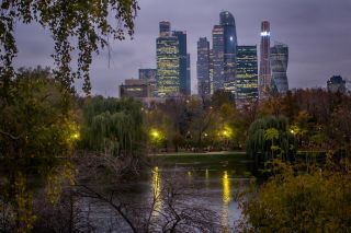 Какие есть проекты по сохранению природы Москвы и области?
