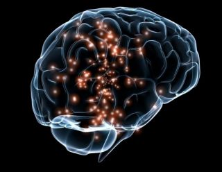 Ученые университета в Сент-Луисе нашли механизм принятия решений в человеческом мозге