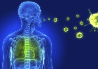 Болезни органов дыхания: причины и профилактика болезней легких