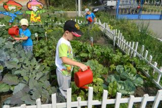 Зачем нужен огород в детском саду?