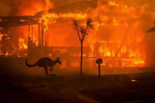 «Огненный ад» в Австралии