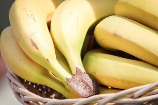 Как хранить бананы дома правильно, чтобы они не чернели?