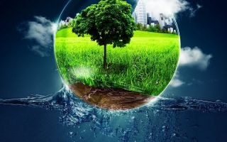 Экология: основные понятия и экологические проблемы