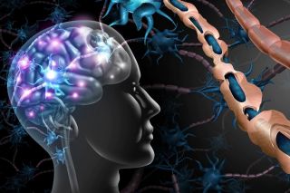 Неврологические заболевания: симптомы, диагностика и лечение болезней