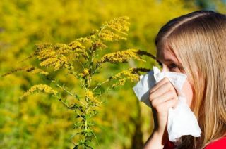 Психосоматика аллергии: причины и лечение
