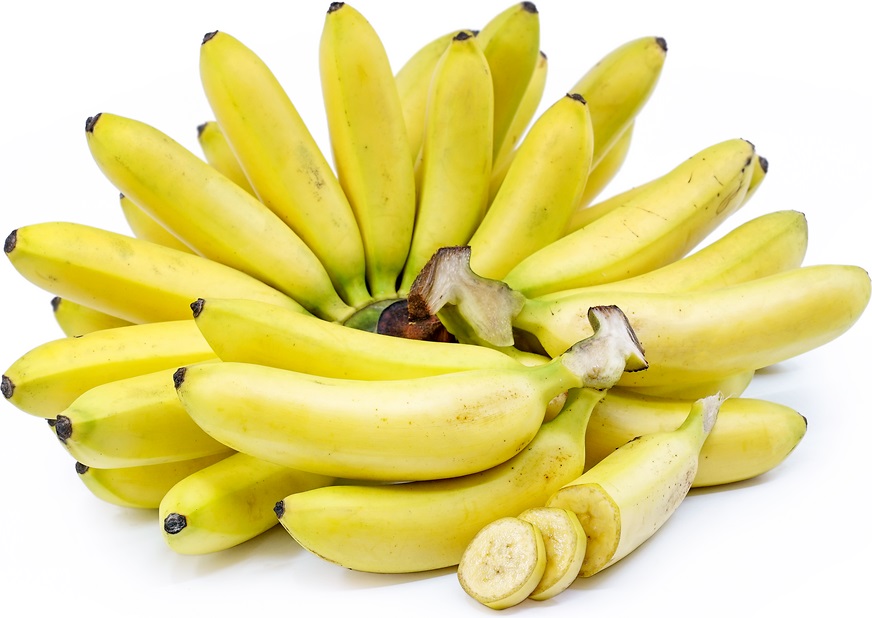 Включи big banana. Бейби банан. Бананы Бэйби. Мини бананы банана бейби. Пальчиковые бананы.